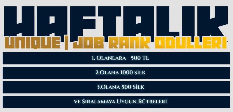 17.webp